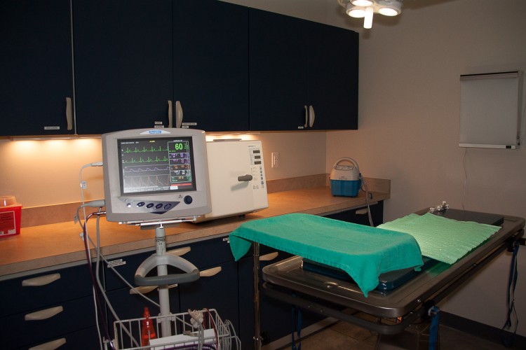 Professional Services Riversong Veterinary Clinic Riversong