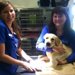 Margie Renee and Daisy