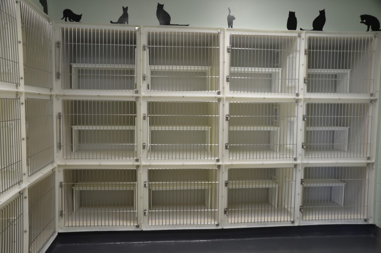 Ribbon Cutting Ceremony at Transylvania County's New Animal Shelter